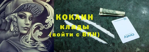ПСИЛОЦИБИНОВЫЕ ГРИБЫ Александровское