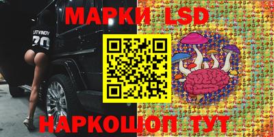 мяу мяу кристалл Кинель