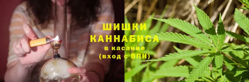 Бошки марихуана THC 21%  Невинномысск 